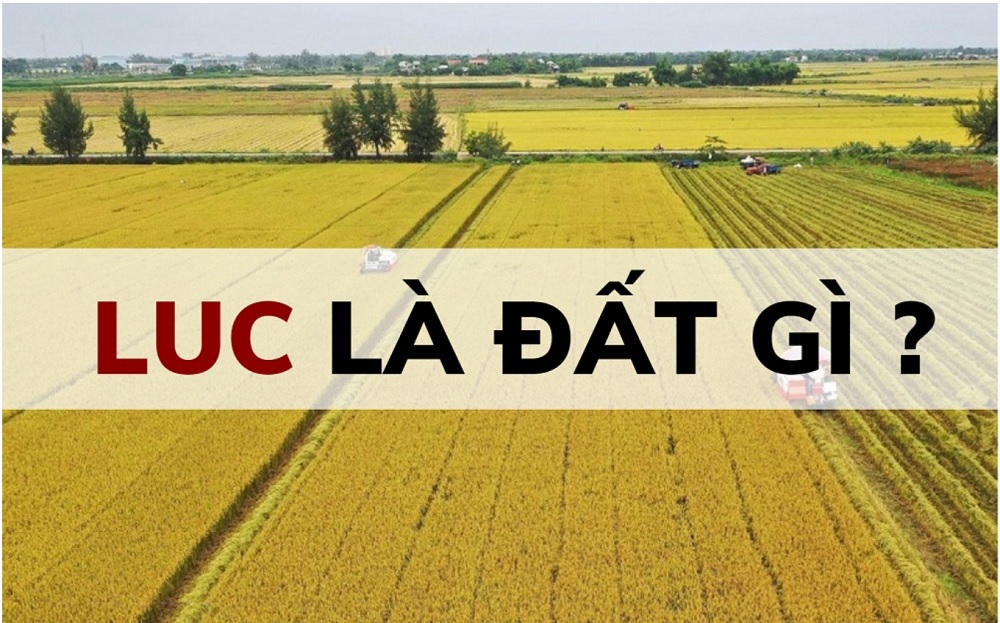 Đất LUC là gì theo quy định pháp luật?